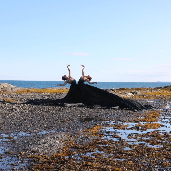 Infringing Dance Festival will hold performances from dawn to dusk